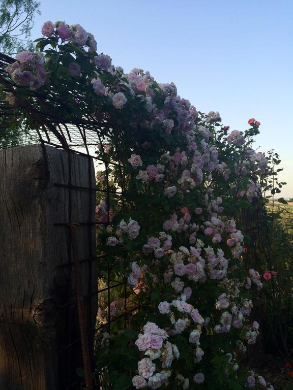 Coscio Di Badia Villa Naro Kültér fotó
